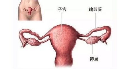 重慶送子鳥醫(yī)院