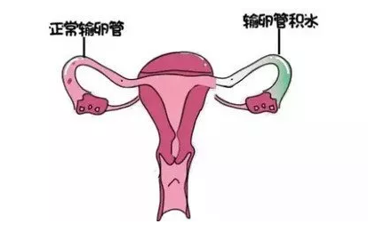 重慶送子鳥醫(yī)院