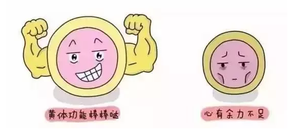 重慶送子鳥醫(yī)院