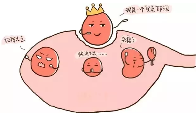 重慶送子鳥醫(yī)院