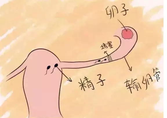 重慶送子鳥醫(yī)院