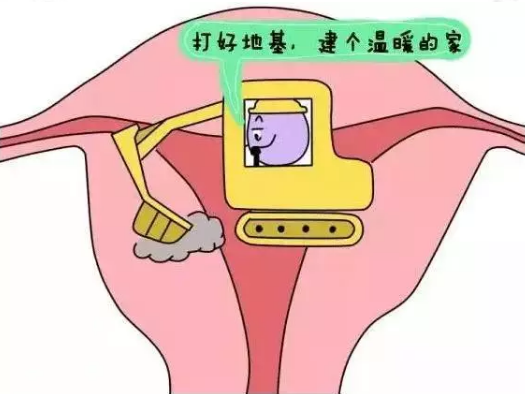 重慶送子鳥醫院