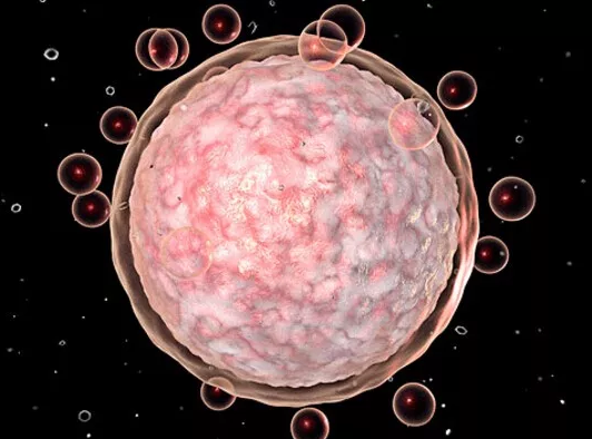 重慶送子鳥醫院