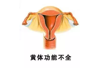 重慶送子鳥醫院