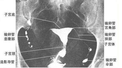 重慶送子鳥(niǎo)醫(yī)院