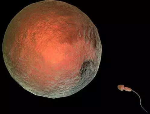 重慶送子鳥醫(yī)院