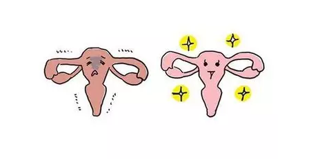 重慶送子鳥醫(yī)院