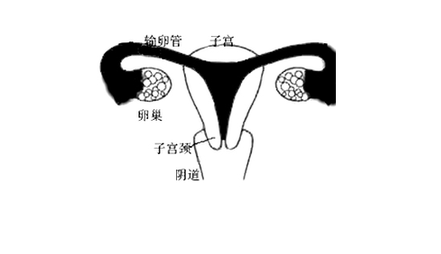 重慶送子鳥醫院