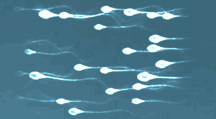 重慶送子鳥醫(yī)院