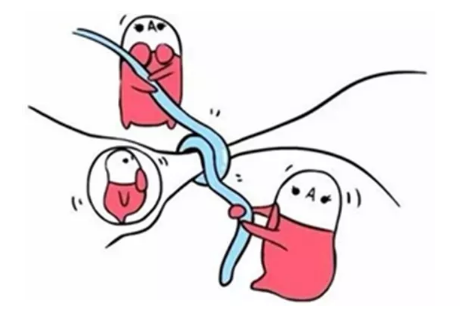 重慶送子鳥醫(yī)院