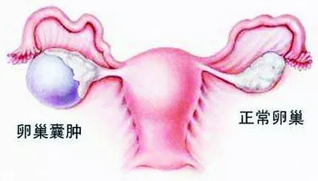 重慶送子鳥醫院