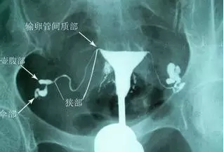 重慶送子鳥醫(yī)院