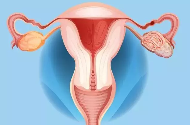 重慶送子鳥醫(yī)院