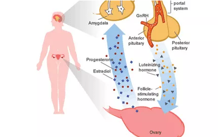 重慶送子鳥醫(yī)院