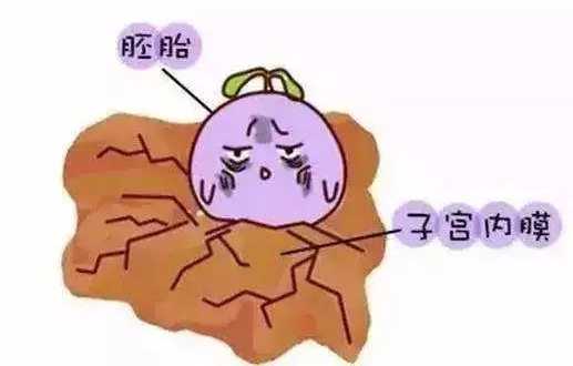 重慶送子鳥醫(yī)院