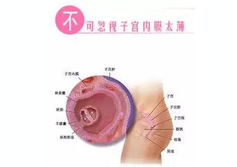 重慶送子鳥醫院