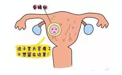 重慶送子鳥醫院