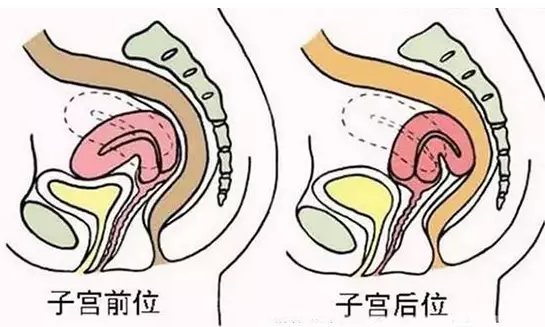 重慶送子鳥醫院