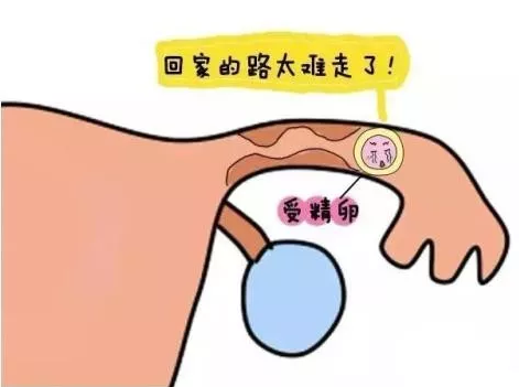 重慶送子鳥醫院