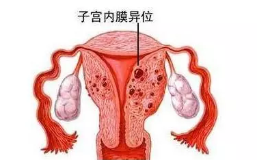 重慶送子鳥醫(yī)院