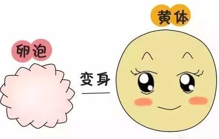 重慶送子鳥醫(yī)院